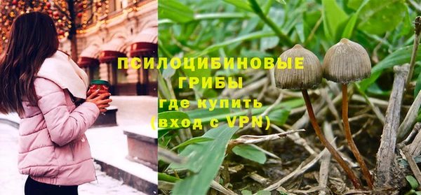 экстази Арсеньев