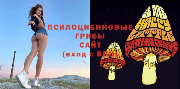 герыч Аркадак
